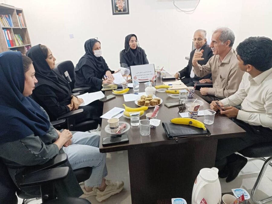نشست تخصصی روان‌شناسان حوزه فرزندخواندگی استان برگزار شد