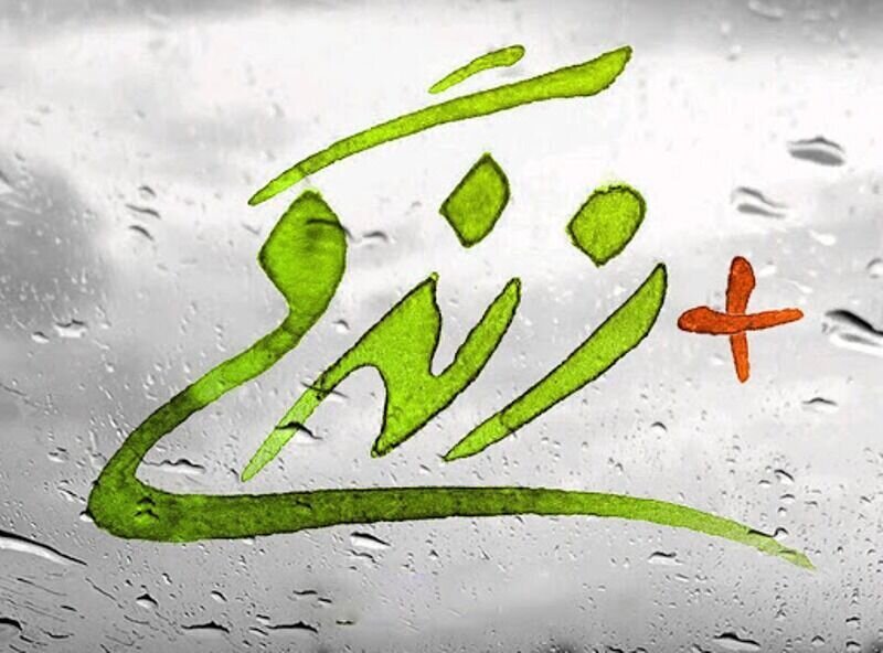 فعالیت ۱۰۵ مرکز مثبت زندگی و ۸۶ مؤسسه غیردولتی در لرستان