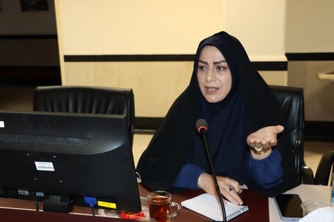 ارائه گزارش عملکرد دستگاه‌ها و طرح پیشنهادهای جدید در شورای سالمندان استان مرکزی