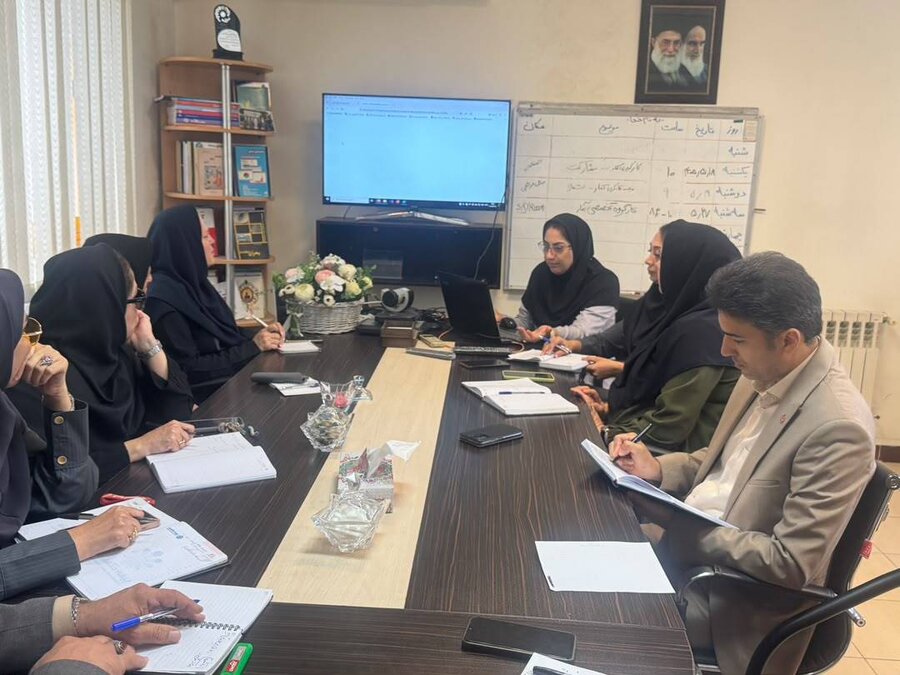 دومین جلسه کارگروه تخصصی "استقرار مدیریت کیفیت آمار