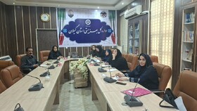 حضور مسئولان و کارشناسان استان در جلسه برخط کشوری "بررسی چالشهای سامانه جامع مراکز مثبت زندگی " 