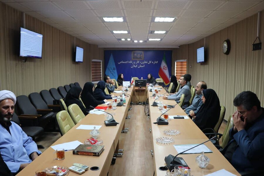 نخستین جلسات کمیته های تخصصی رفاهی - حقوقی و  فرهنگی، آموزش و پژوهش سالمندان 