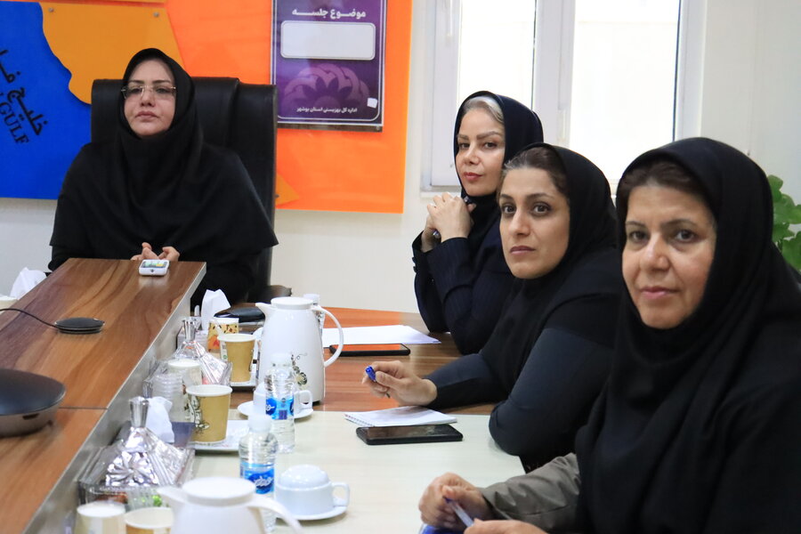 نخستین نشست کارگروه تخصصی استقرار مدیریت کیفیت آمارهای رسمی بهزیستی استان بوشهر برگزار شد