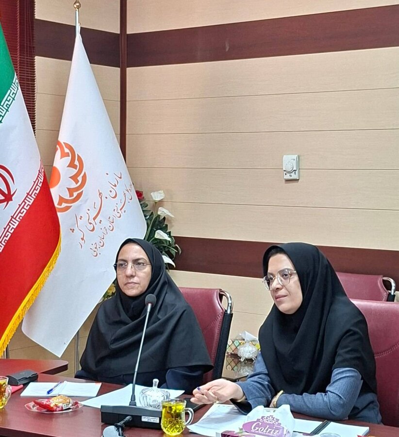 دکتر گازرانی مدیرکل بهزیستی استان خراسان جنوبی امروز در جلسه شورای راهبری تحول اداری بهزیستی استان از فعالیت های تخصصی کارمندان بهزیستی حمایت کرد