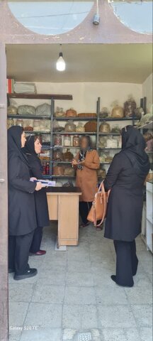 ساوجبلاغ | بازدید کارشناسان بهزیستی استان البرز از مراکز مجری طرح توانبخشی مبتنی بر جامعه