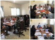  برگزاری کمیسیون پزشکی توانبخشی برای افراد دارای معلولیت در شهرستان خلخال
