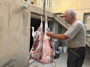 تجلی مهر و بخشندگی؛ اهدای ۸۰ میلیون تومان کمک خیریه به بهزیستی بهار