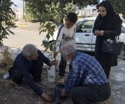 پویش ملی «درخت امید نسل‌ها» با حضور سالمندان و کودکان در کامیاران اجرا شد