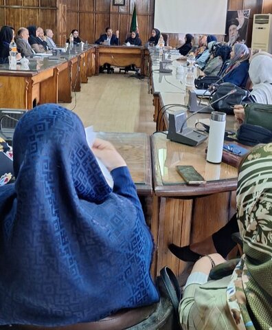 دومین نشست تخصصی احصای نیازهای فناورانه سالمندان در اهواز برگزار شد