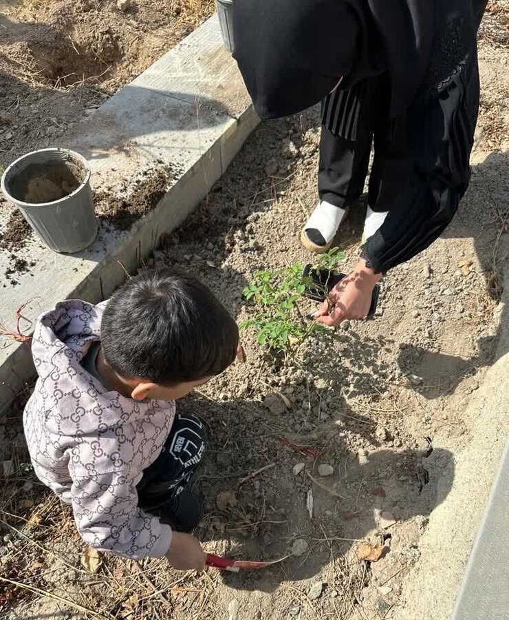 غرس نهال محبت