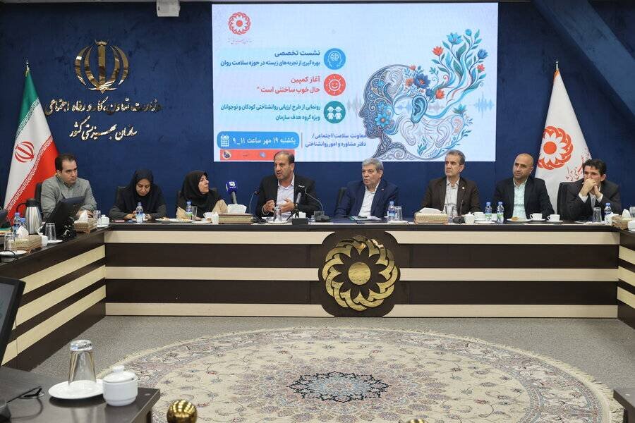 تقدیر عضو کمیسیون اجتماعی مجلس از نقشه اقدام تهران برای پیشگیری از خودکشی