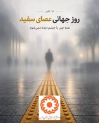 پیام مدیرکل بهزیستی فارس به مناسبت روز جهانی عصای سفید