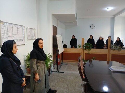بازدید