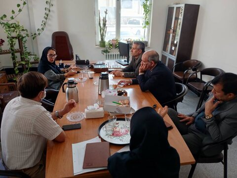 بازدید