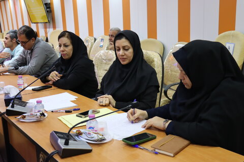 مسعود شیرافکن، مدیر کل بازرسی و ارتباطات مردمی استانداری، مهرناز اسکندری، مدیرکل بهزیستی استان، معاونان تخصصی اداره کل و جمعی از مدیران و کارشناسان مؤسسات، مراکز غیردولتی، تسهیلگران طرح سلام، تیم های