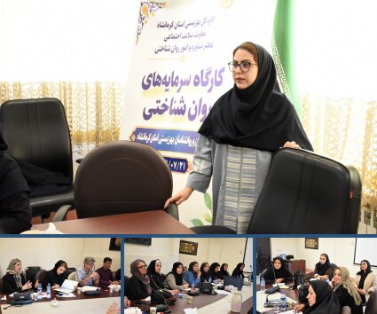 ارتقای توانمندی متخصصان سلامت روان با محوریت «سرمایه روان‌شناختی»