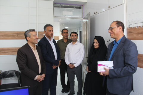 بازدید