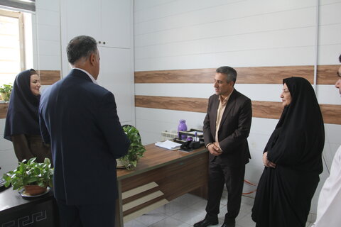 بازدید