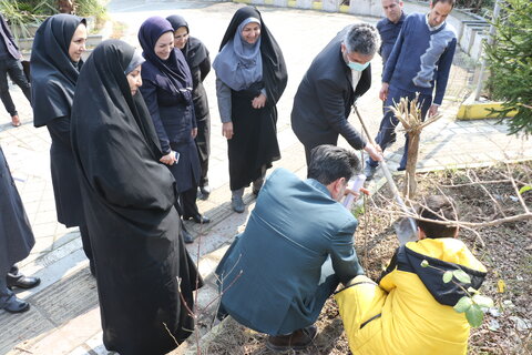 گزارش تصویری | آیین گرامیداشت روز درختکاری در اداره کل بهزیستی گیلان برگزار شد